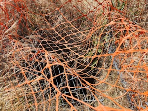 Do we need another Whitestone&nbsp;Point?